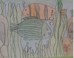 4-peces-colores